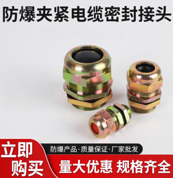 Explosion-Proof Cable Clamping Sealing Connector BDM-II Explosion-Proof Gland Sealing Waterproof Entry Device Customizable