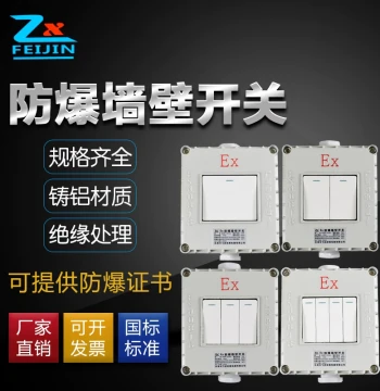 Explosion-Proof Wall Switch 220V 10A Surface-Mounted Flush-Mounted Type 86 Single-Gang Double-Gang Triple-Gang Two-Way Rocker Lighting Switch