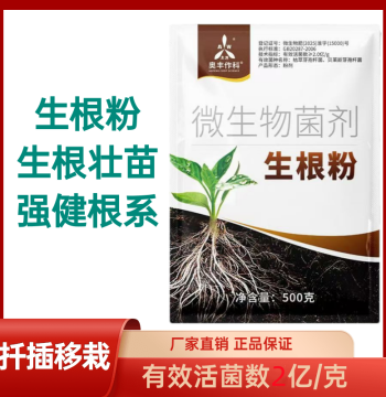 Aofeng Rooting Powder - Promotes Root Growth, Strengthens Seedlings, Enhances Root System, Fast Rooting, Stress Resistance, Yield Increase for Cutting and Transplanting - Suitable for Flushing and Drip Irrigation