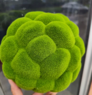 Artificial Moss Balls Flocked Ball Decorations Fake Green Moss Ornamental Props