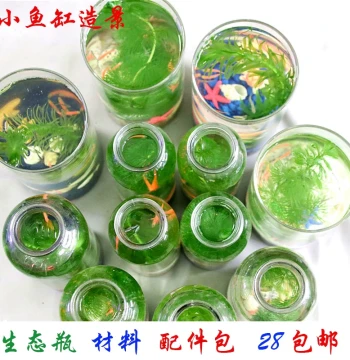 Fish Shrimp Crab Tank Landscaping Eco-Bottle DIY Material Kit Micro-Landscape Accessories Goldfish Algae Desktop Small Fish Tank Decoration