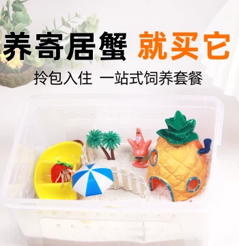 Hermit Crab Starter Kit - Complete Habitat Box Set with Supplies, Desktop Pet Setup, Ideal Gift for Kids