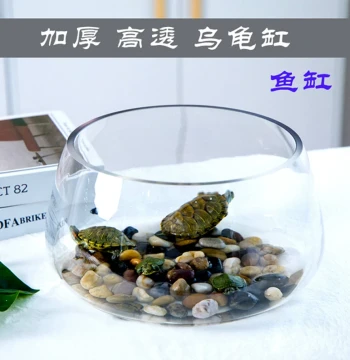 Round glass fish tank for office desks, hydroponic pothos, home creative transparent mini desktop turtle tank