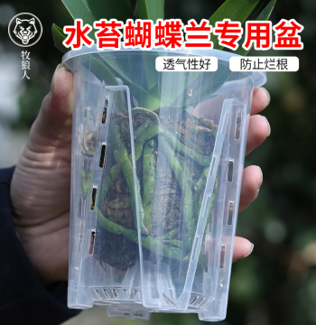 Mu Lang Ren Transparent Green Mountain Root-Control Pot Orchid Sphagnum Phalaenopsis Special Plastic Breathable Hollow Large Pot