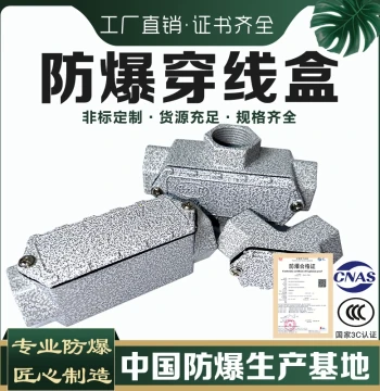 Explosion-Proof Bulkhead Gland Fitting G3/4 Cable Tray with Lock Nut 6/8 Inch DN20 Through-Hole 1 Inch Locking Head Carbon Steel