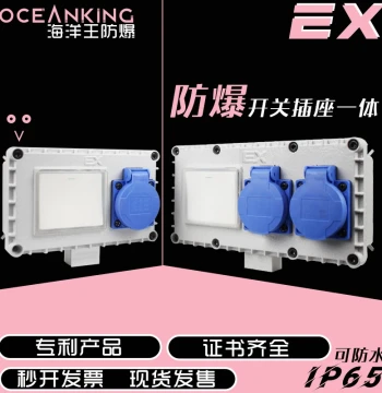 EX Explosion-Proof Switch Socket Integrated Waterproof Surface-Mount Wall 5-Hole 10-Hole Outdoor Lighting Industrial Switch 250V