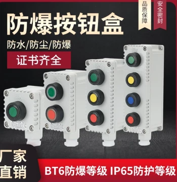 Explosion-Proof Push Button Switch Box Emergency Stop Self-Resetting Button Explosion-Proof Control Button Explosion-Proof Access Control Button Box