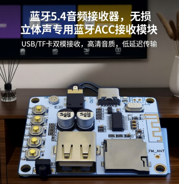Bluetooth 5.4 Hi-Fi Audio Receiver Module Speaker Amplifier Special Lossless Stereo USB/TF Bluetooth AAC