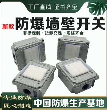 Explosion-Proof Wall Switch 220V 10A Surface Mounted Flush Mounted Type 86 Metal Single-Gang Two-Way Industrial Socket Factory Socket