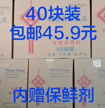 40-Pack Fresh Flower Foam Blocks