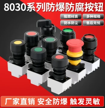 BAD8050 Self-Resetting Explosion-Proof Push Button Switch Flat Button Hole 30mm Durable Waterproof Explosion-Proof Button