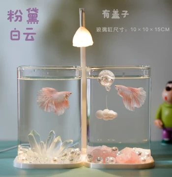 Dedicated Dual-Tank High-Transparency Small Lazy Landscaping Glass Desktop Creative Fish Tank for Betta Fish, Dorm Night Light