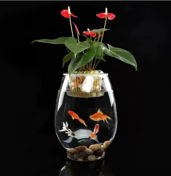 Hydroponic Container Glass Transparent Hydroponic Vase Thick Hydroponic Plant Vase Water-Grown Pothos Pot Desktop Office