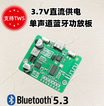 Type-C Charging Port Mono Bluetooth Amplifier Supporting TWS Stereo Pairing Adjustable Volume DAU BT16