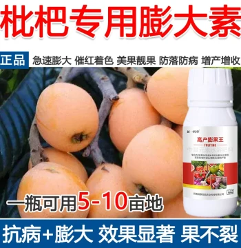 Loquat Enlargement Agent Loquat Specific Growth Promoter Flower Induction Coloring Fruit Beautifying Yield Increase Leaf Drop Prevention Foliar Fertilizer