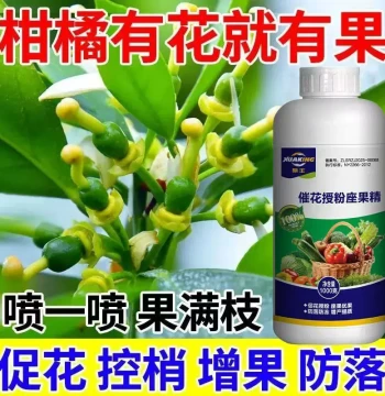 Citrus Flower Inducer Promotes Flower Bud Differentiation Citrus Fruit Setting Agent Strong Pollination Flower and Fruit Preservation Anti-Drop Agent