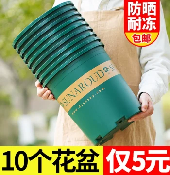 Thickened Plastic Home Planter Pots for Balcony Bonsai, Succulents, Pothos, Roses, and Strawberries