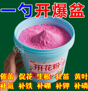 Bougainvillea Specialized Blooming Powder Bud Promoter for Bare Stems Yellow Leaf Drop Withering Root Strengthening Growth Fertilizer