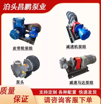 Rotor Pump NCB High-Viscosity Internal Gear Pump for Rice Slurry Sugar Syrup Printing Paste Resin Plum Sauce Transfer