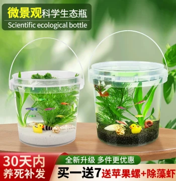 Handheld Eco-Bottle Ornamental Fish Micro Landscape DIY Fish Tank Live Fish Freshwater Coldwater Betta Shrimp Real Aquatic Plants Maintenance-Free