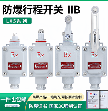 Explosion-proof Travel Switch Limit Type B DLXK LX5-15B/5d Foot Dual-Step Plunger lx5-D Roller Z EX