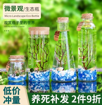 Ornamental Fish Eco-Bottle Micro-Landscape No Water Change DIY Aquarium Office Desktop Creative Scaping Betta Fish Glass Tank