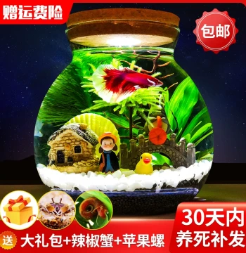 Eco-Bottle Micro-Landscape Aquarium Scaping Betta Fish Tank Creative Tank Office Desktop Living Room Ornamental Glass Tank