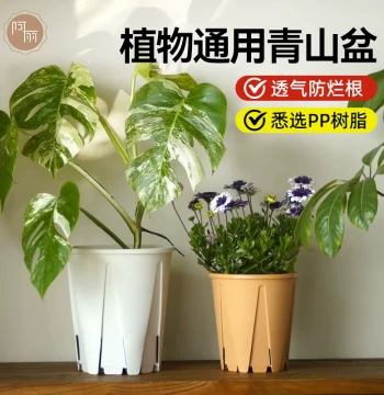Breathable Anti-Rot Root Control Pot for Phalaenopsis, Begonia, Viola, Active Green Mountain Plants, Monstera, Clematis, and Roses