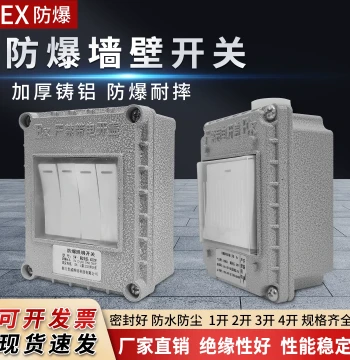 Zhenggong Explosion-Proof Lighting Wall Switch, Single/Double Control, Surface/Flush Mount, Industrial 1-4 Gang with 5-Hole 220V Socket