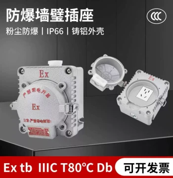 Explosion-Proof Socket BQK-10A, 5-Hole and 3-Hole 10A/16A Waterproof and Dustproof Wall-Mounted Aluminum Housing with Cover