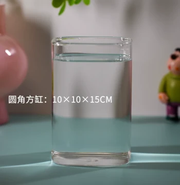 High-Transparency Glass Rounded-Corner Square Tank for Thai Betta Fish and Small Tropical Fish, Creative Desktop Micro-Landscape Eco-Bottle