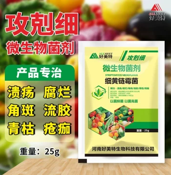 Streptomyces flavofungini Agricultural Bactericide General Purpose for Fruit Trees Vegetables Cured Tobacco Leaves Ulcer Soft Rot Diseases