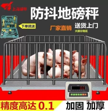 Truck Scale for Weighing Pigs and Cattle 1 Ton 3 Ton 5 Ton Dedicated Scale Ground Pump Scale Anti-Shake Pig Weighing 2 Ton Small Truck Scale - Maitaibao