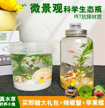DIY Ecological Bottle Small Fish Handheld Plastic Micro Landscape Freshwater Cold Water Ornamental Fish Shrimp Aquatic Plants Live Specimens for School Projects