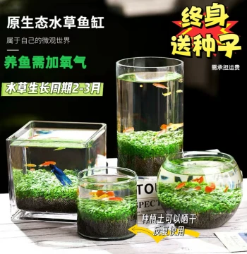 Glass Transparent Fish Tank Aquatic Plant Seeds Micro-Landscape Home Light Luxury Leisure Desktop Aquatic Soil Creative Eco-Tank