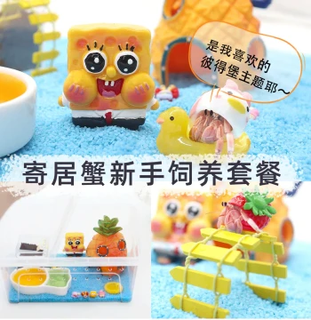 Hermit Crab Terrarium Kit Plastic Beginner Mini Low-Maintenance Pet Acrylic Breathable Children's Gift