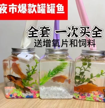 Internet Famous Jar Fish Glowing Bubble Fish Jar Square Betta Fish Jar Eco Micro Landscape Water Plant Fish Tank Street Stall Artifact Night Market