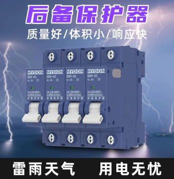 Backup T1/T2 Level Surge Front-end SCB Lightning Arrester Household 2P 4P Backup Protector