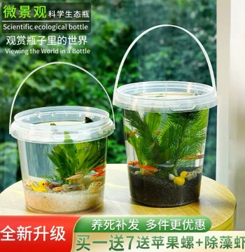Eco-Bottle DIY Small Fish Handheld Plastic Micro-Landscape Freshwater Coldwater Ornamental Fish Shrimp Live Aquatic Plants for Schools