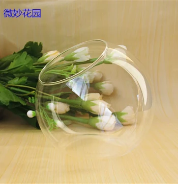 Micro Landscape Slanted Mouth Glass Bottle Succulent Vase Moss Container Terrarium Empty Bottle Glass Tank Landscape Bottle