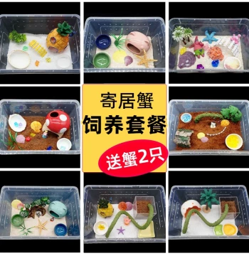 Hermit Crab Beginner Kit Breeding Box ~ Breeding Supplies Companion Crab Set Desktop Pet Children's Gift
