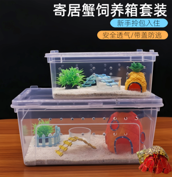 Hermit Crab Terrarium Kit Crab Companion Crab Tank Hermit Crab Starter Box Pet Children's Gift