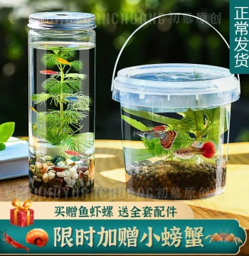 DIY Eco-Bottle with Live Small Fish, Portable Plastic Micro-Landscape for Freshwater Coldwater Ornamental Fish and Shrimp with Real Aquatic Plants for Schools