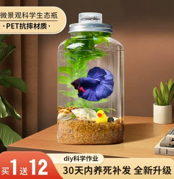 Creative Aquarium Micro Landscape Eco Bottle Scaping Betta Fish Tank Office Desktop Eco Tank DIY Scaping Fish Tank