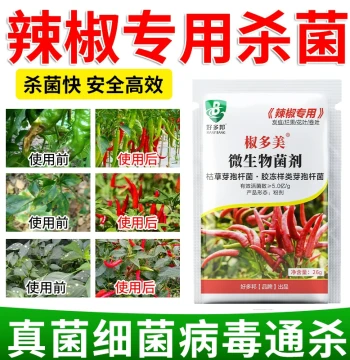 All-in-One Chili Disease Prevention Medicine - Wilt Mosaic Virus Yellow Leaf Curl Blight Control Universal Protector