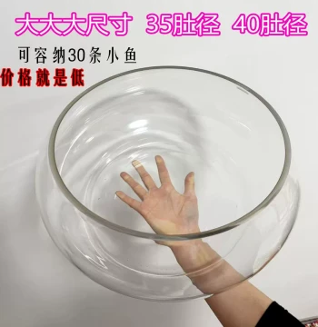 Glass Hydroponic Plant Large Fish Tank Round Thickened Hydroponic Goldfish Tank Desktop Small Mini Turtle Tank Sphere