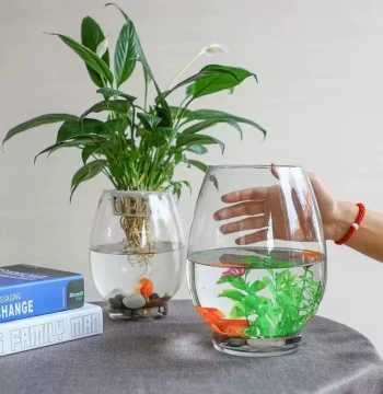 Creative Minimalist Transparent Glass Vase for Hydroponic Pothos Plants Fresh Flowers Living Room Decor Aquarium