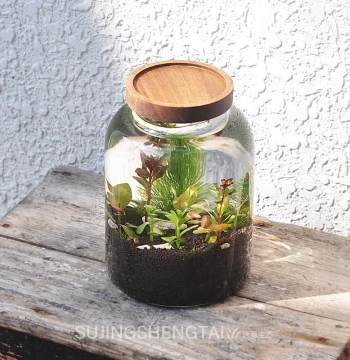 Eco Bottle Small Fish Tank Shrimp Snail Micro Landscape Creative Birthday Couple Gift No Water Change Glass Fish Tank DIY Project