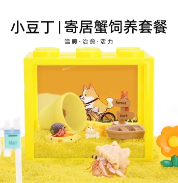 Mopai Cute Dwarf Hermit Crab Breeding Kit Set ~ Breeding Box Office Desktop Cute Pet Children's Gift