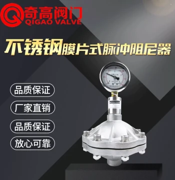 Pulse Snubber, 304 Stainless Steel Diaphragm Pulse Damper with Pressure Gauge, Threaded/Flanged DN25